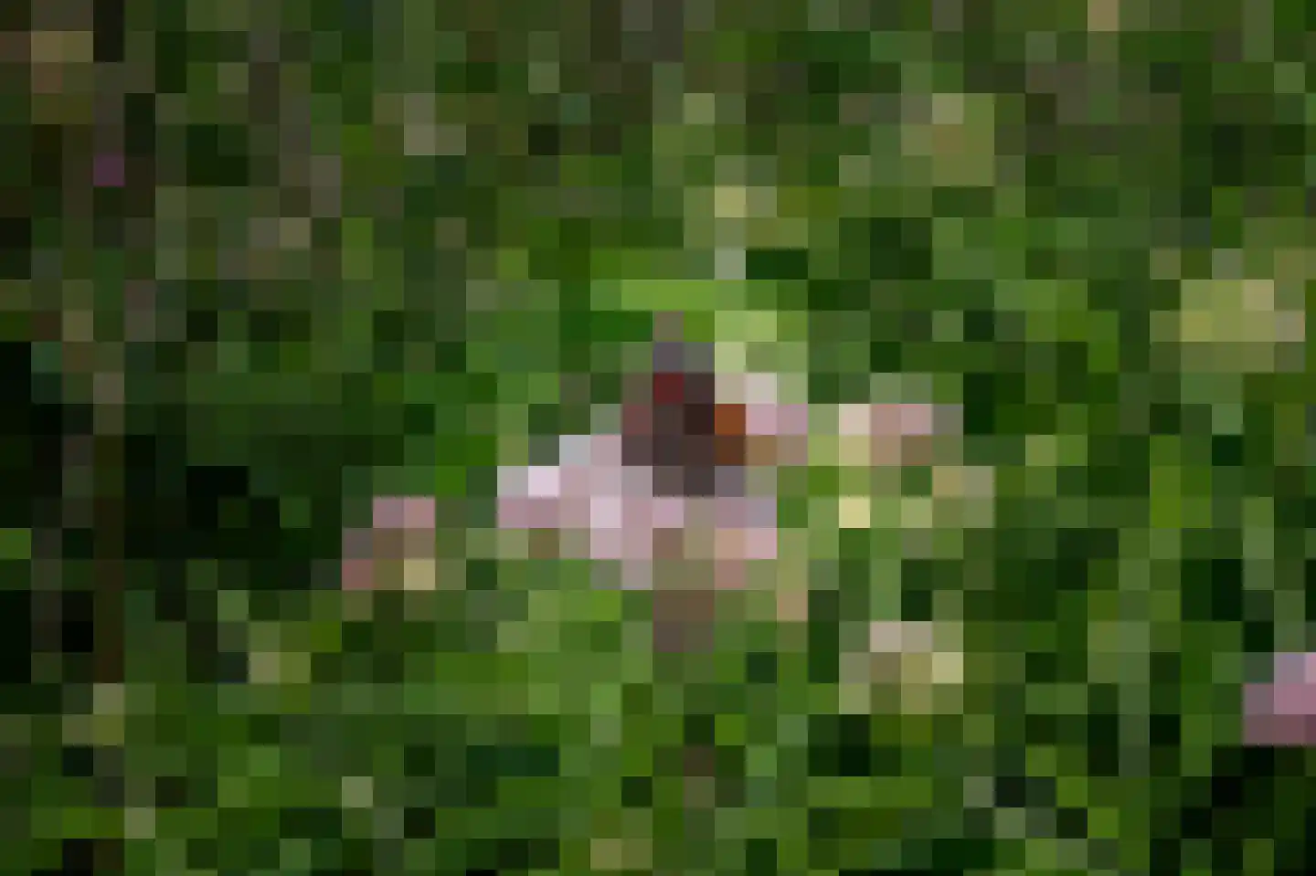 Bilwijkerweg 8 Stolwijk thumbnail 27