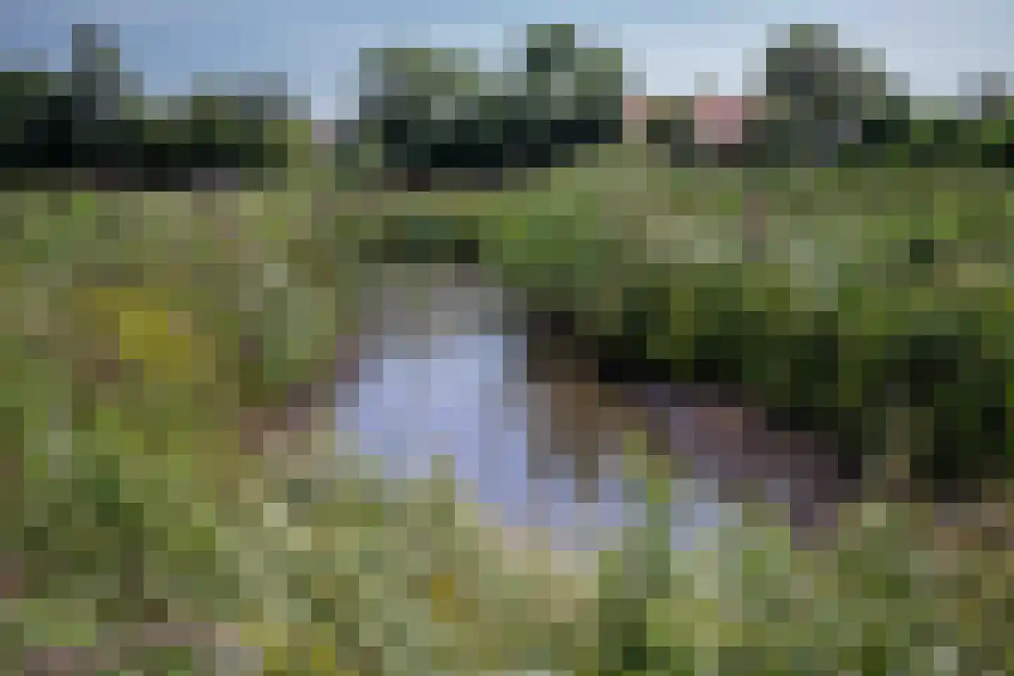 Bilwijkerweg 8 Stolwijk thumbnail 28