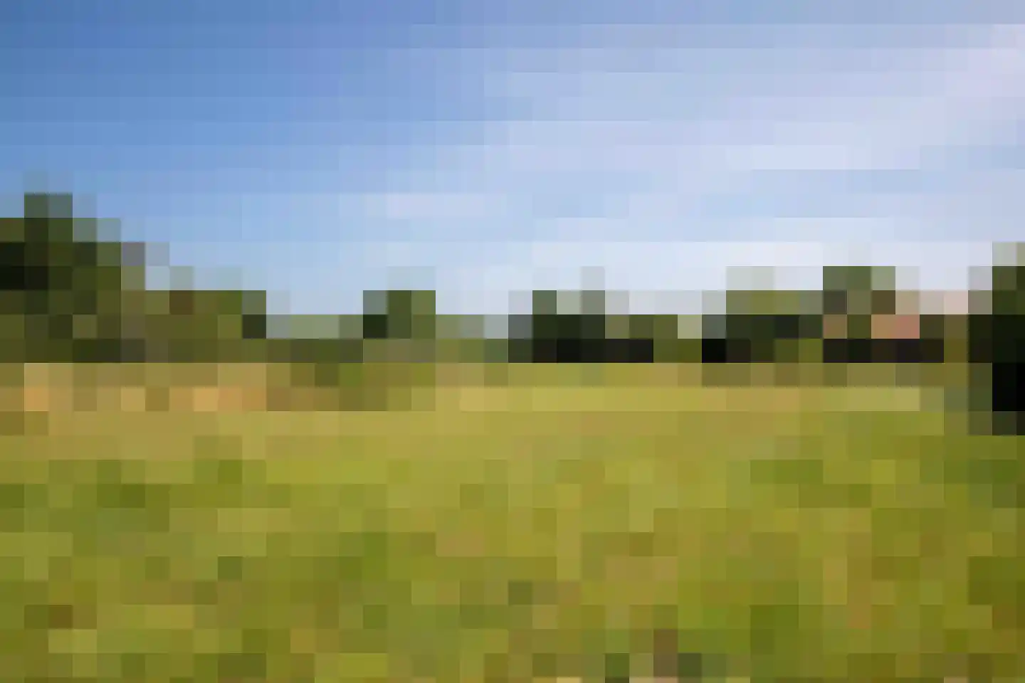 Bilwijkerweg 8 Stolwijk thumbnail 29