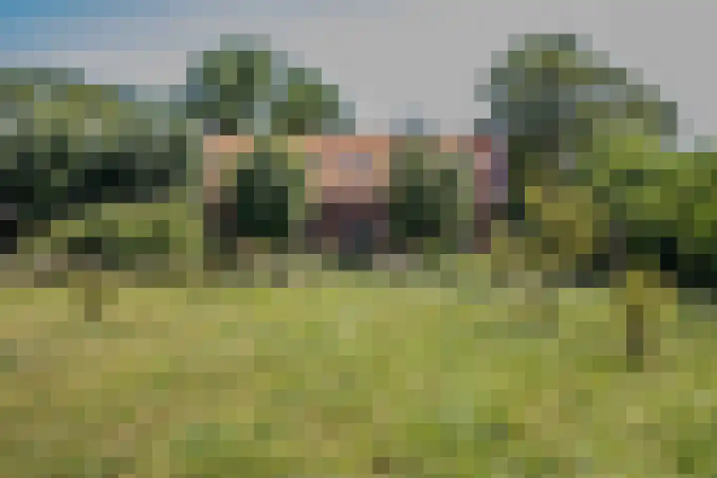Bilwijkerweg 8 Stolwijk thumbnail 30