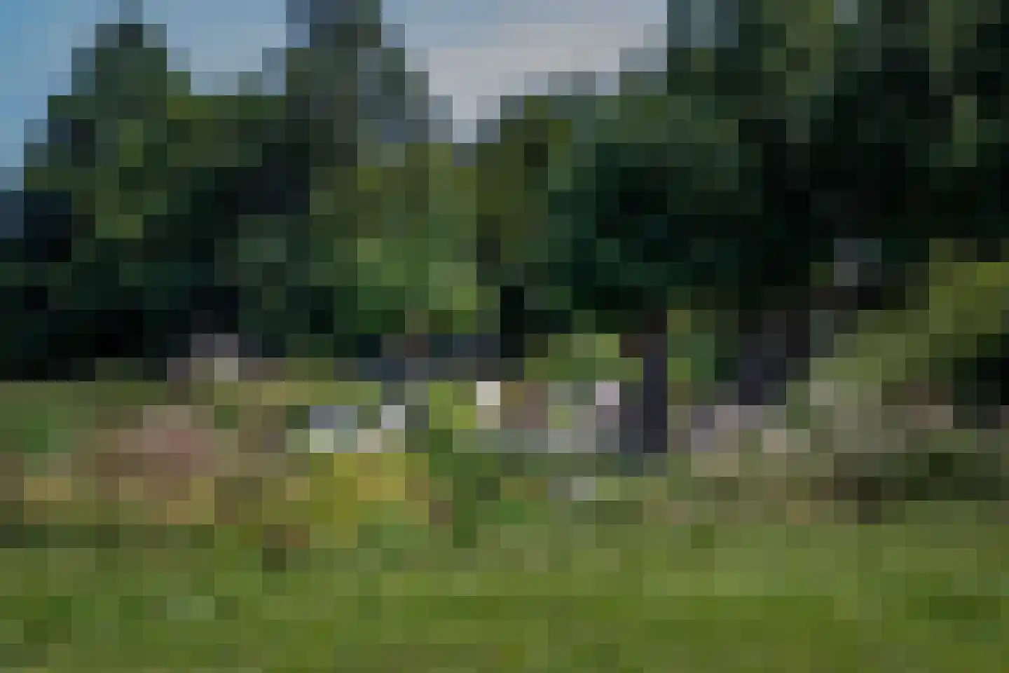 Bilwijkerweg 8 Stolwijk thumbnail 31