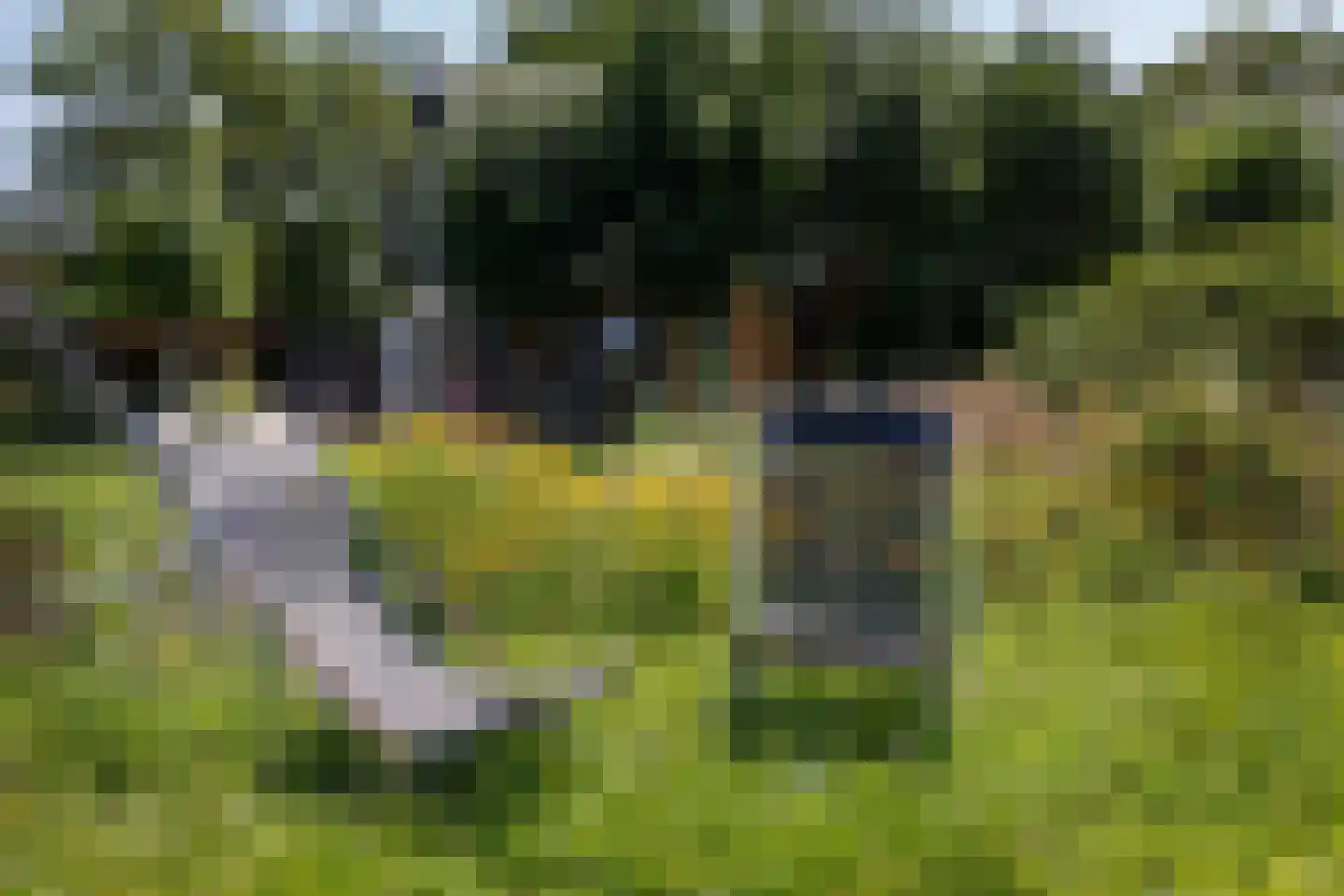 Bilwijkerweg 8 Stolwijk thumbnail 33