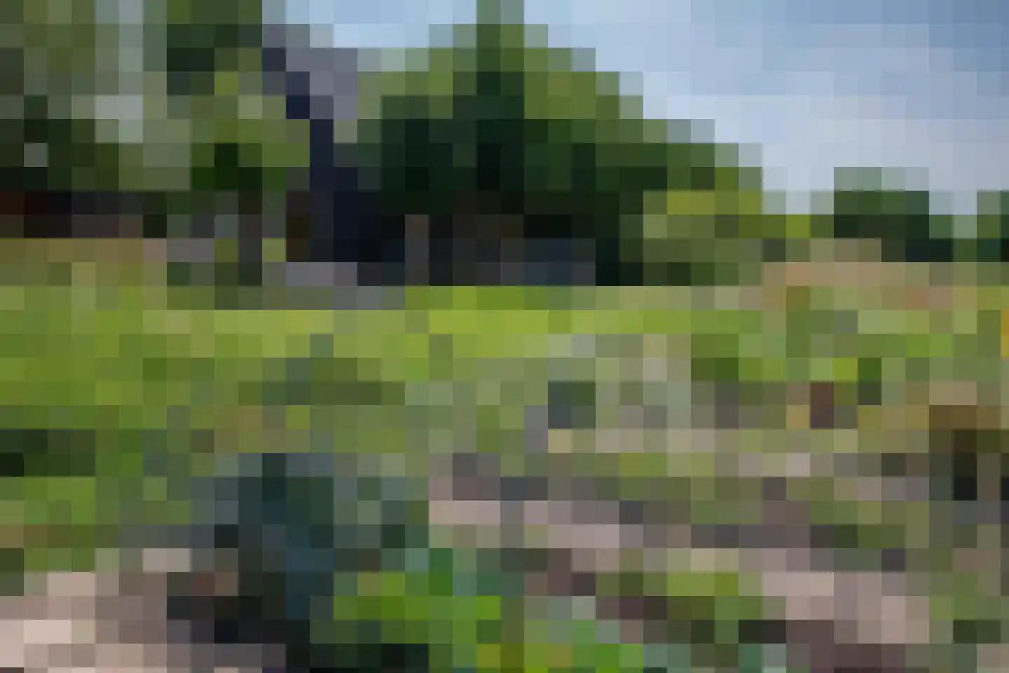 Bilwijkerweg 8 Stolwijk thumbnail 34