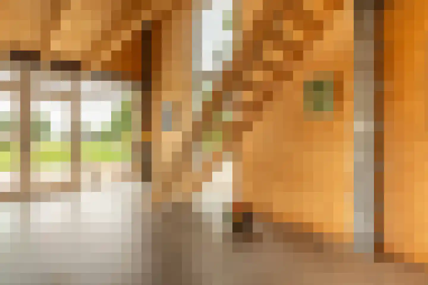 Bilwijkerweg 8 Stolwijk thumbnail 39