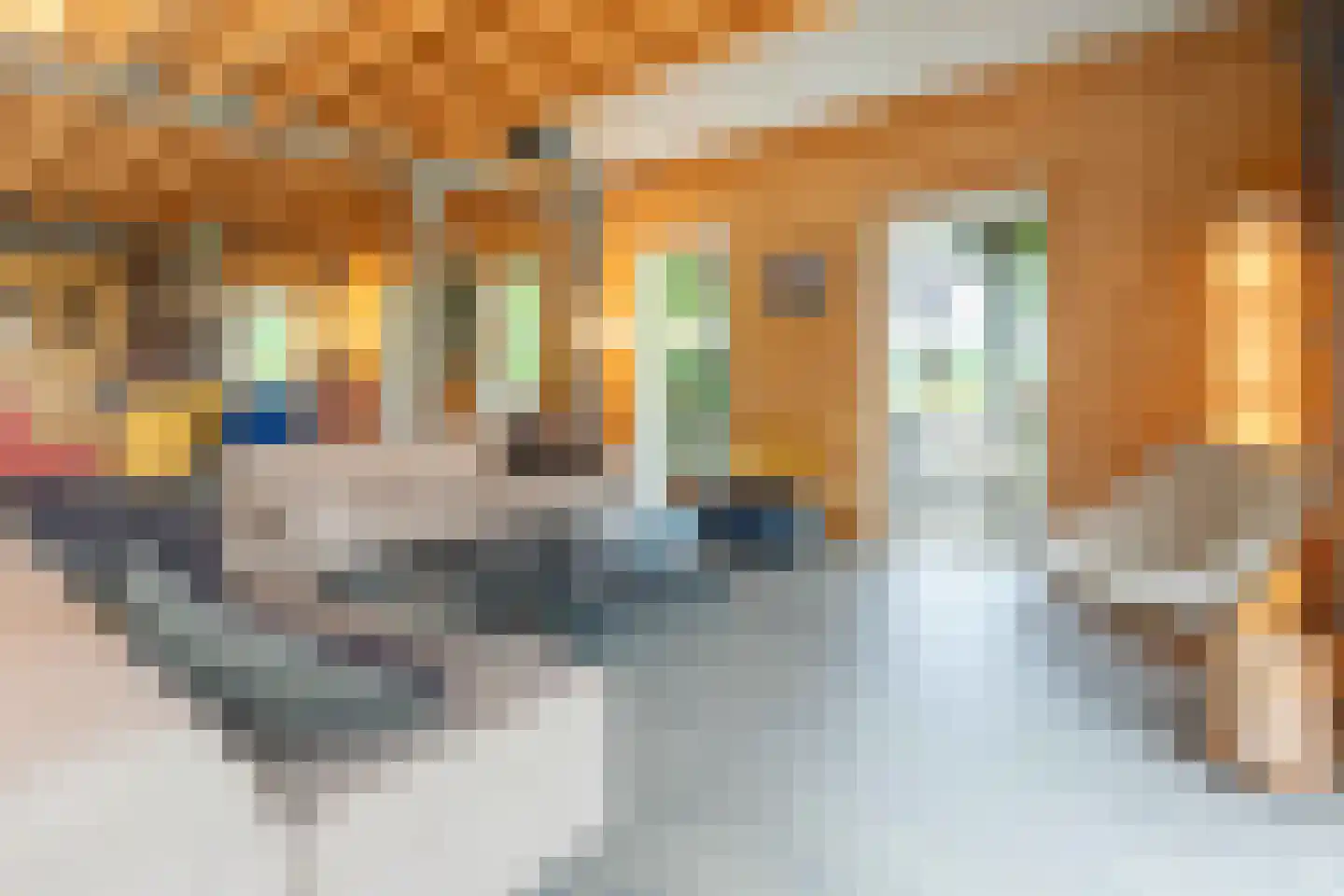 Bilwijkerweg 8 Stolwijk thumbnail 41
