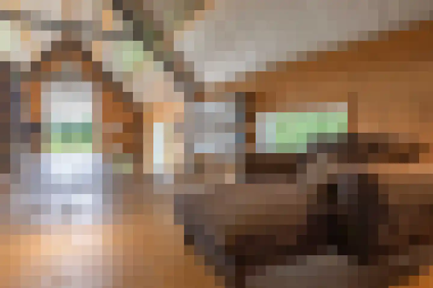 Bilwijkerweg 8 Stolwijk thumbnail 6