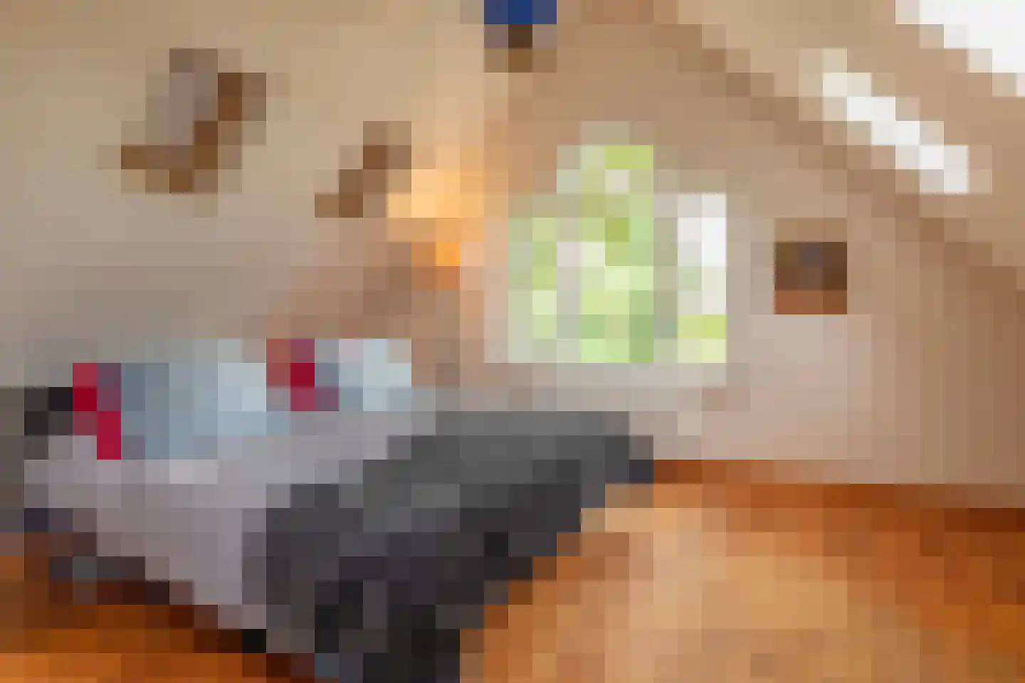 Bilwijkerweg 8 Stolwijk thumbnail 62
