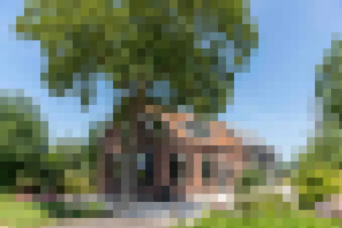 Bilwijkerweg 8 Stolwijk thumbnail 7