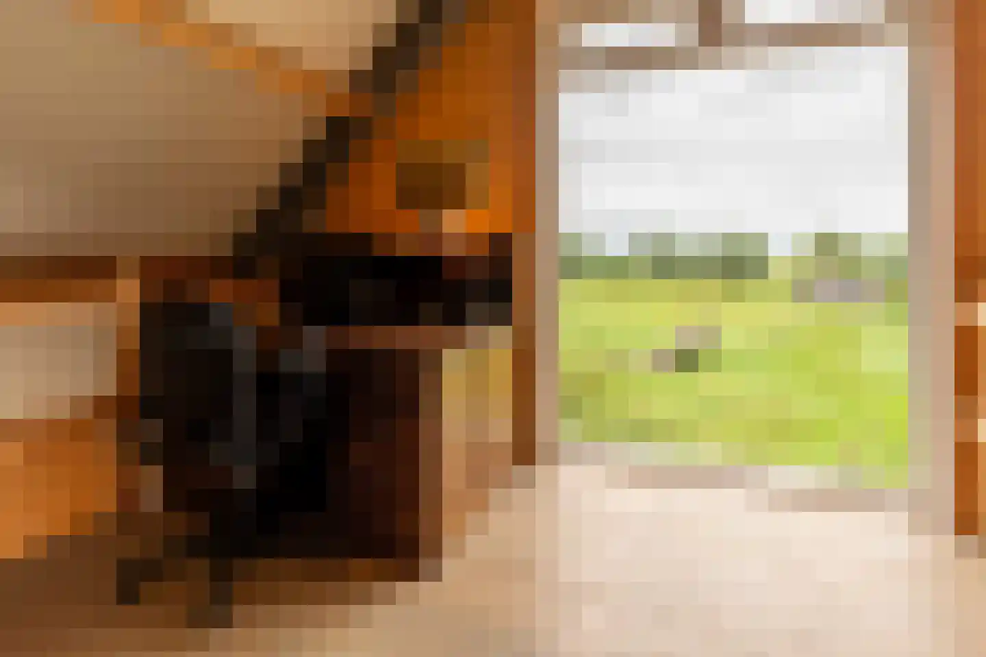Bilwijkerweg 8 Stolwijk thumbnail 71
