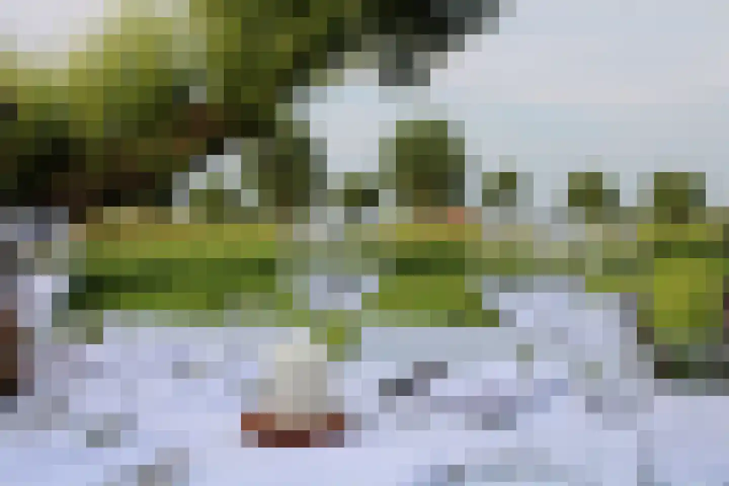 Bilwijkerweg 8 Stolwijk thumbnail 75