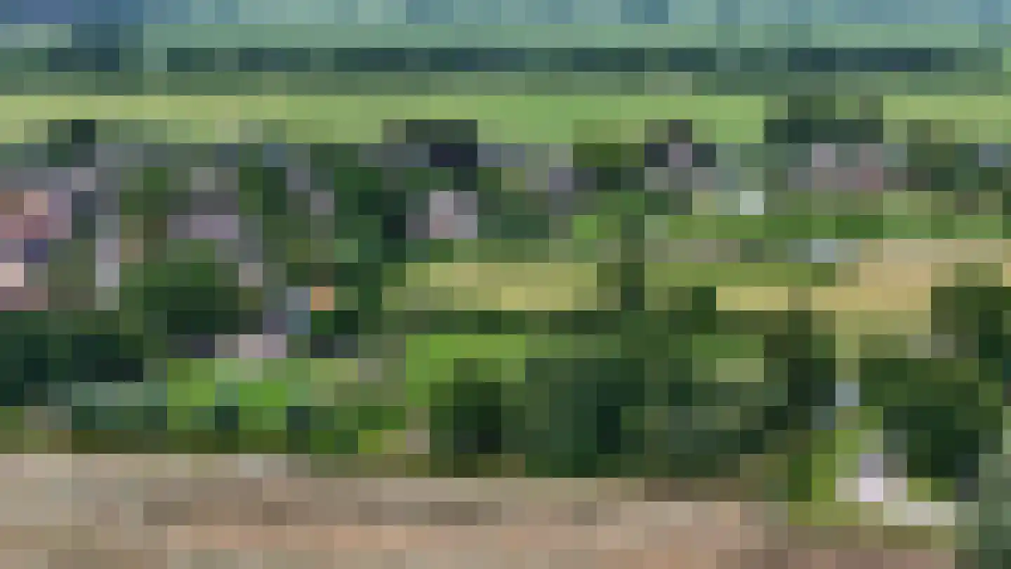 Bilwijkerweg 8 Stolwijk thumbnail 76