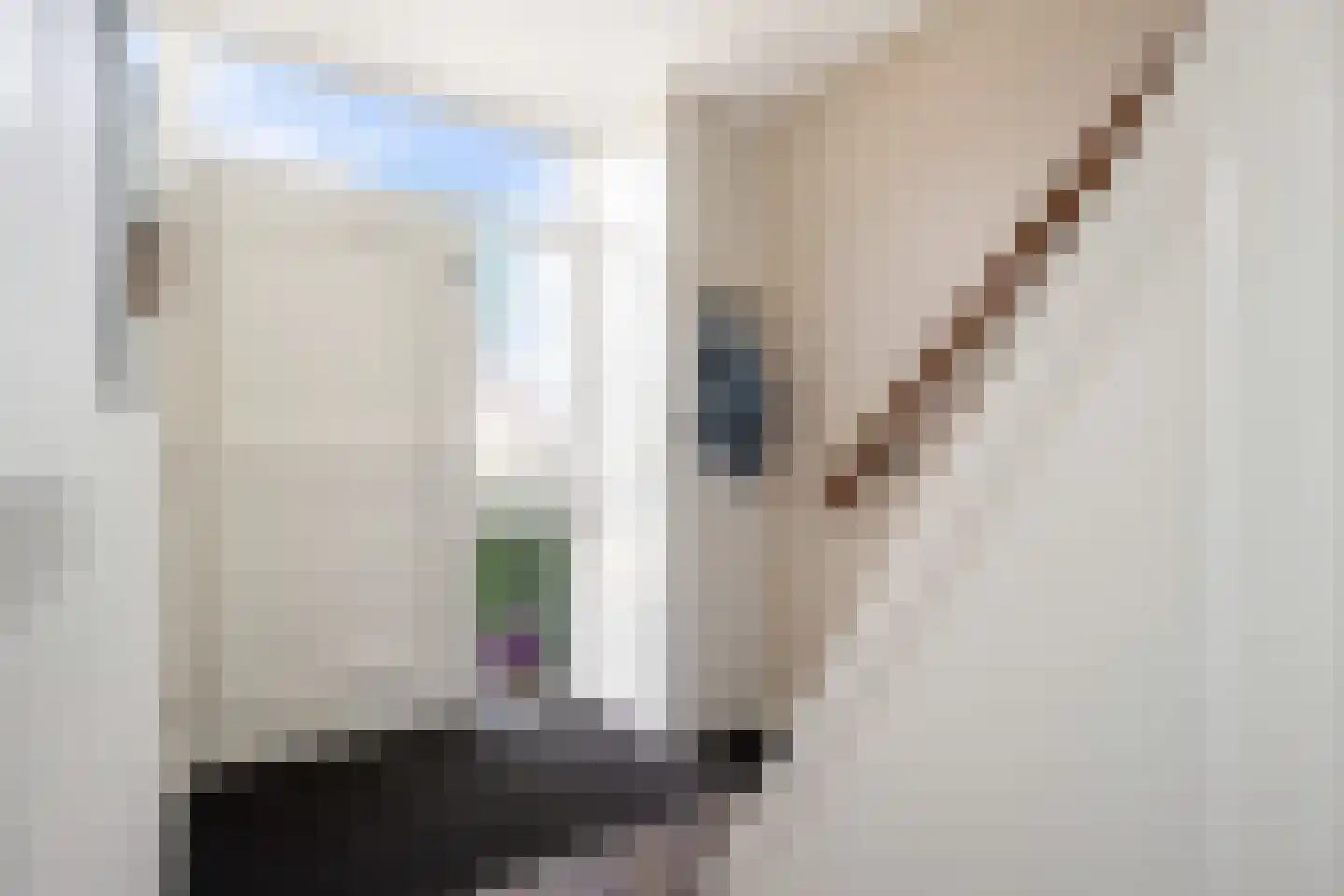Bilwijkerweg 99 Stolwijk thumbnail 17