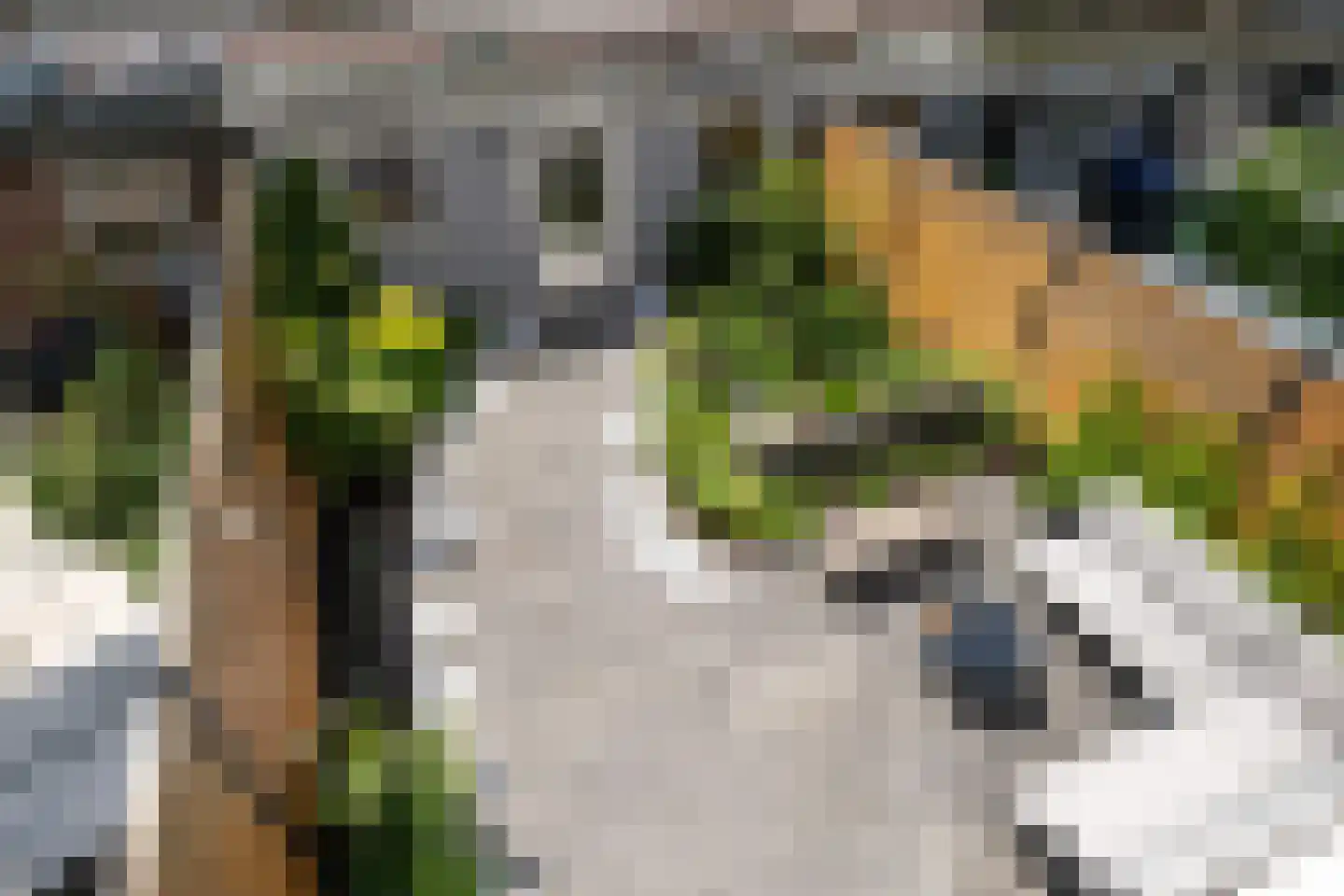 Bilwijkerweg 99 Stolwijk thumbnail 37