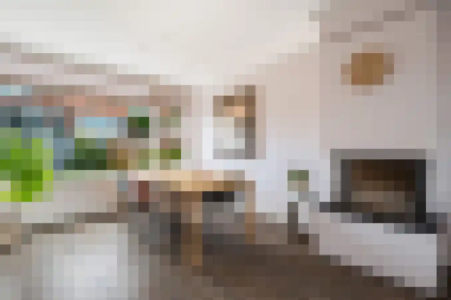 Bilwijkerweg 99 Stolwijk thumbnail 8