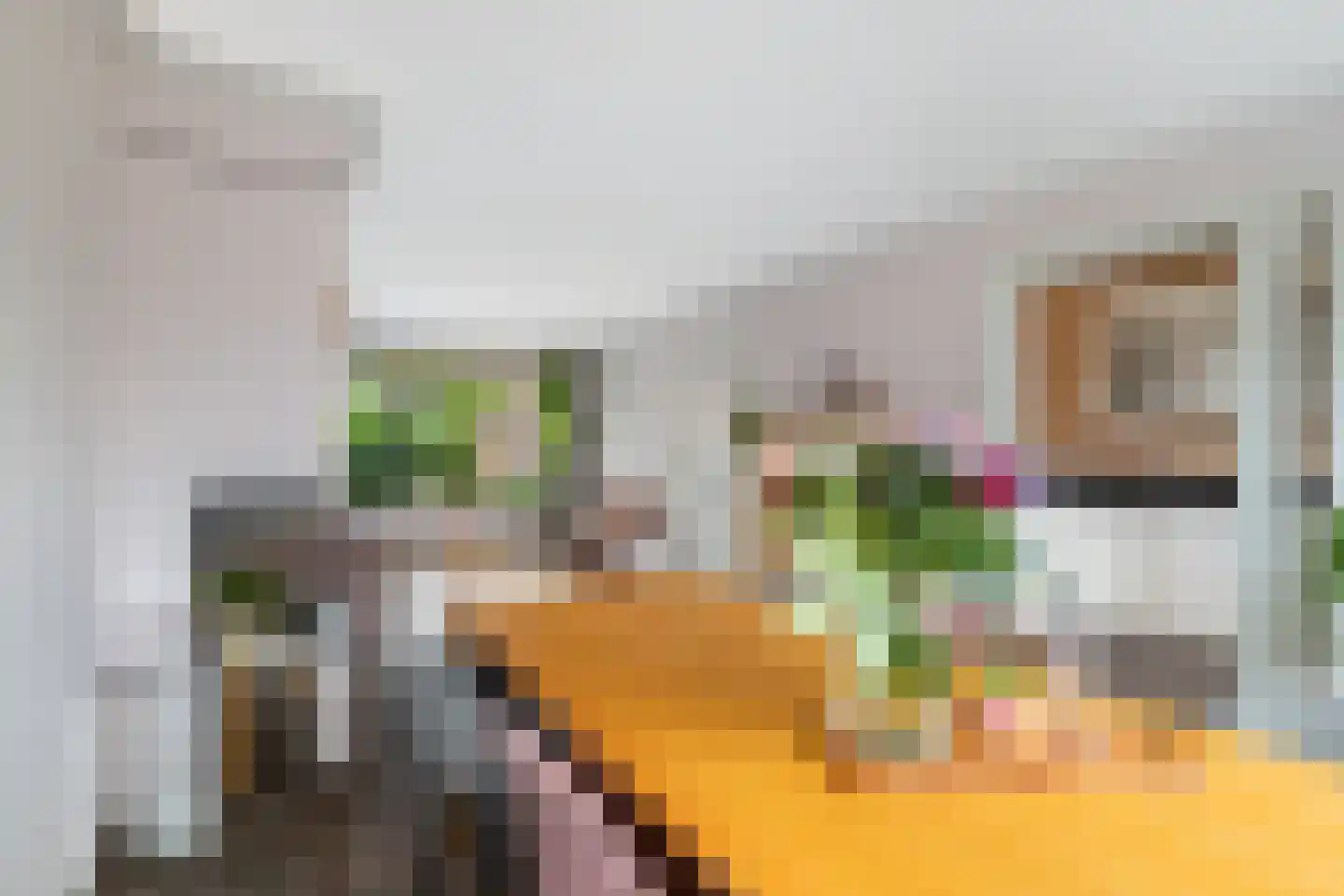 Bilwijkerweg 99 Stolwijk thumbnail 9