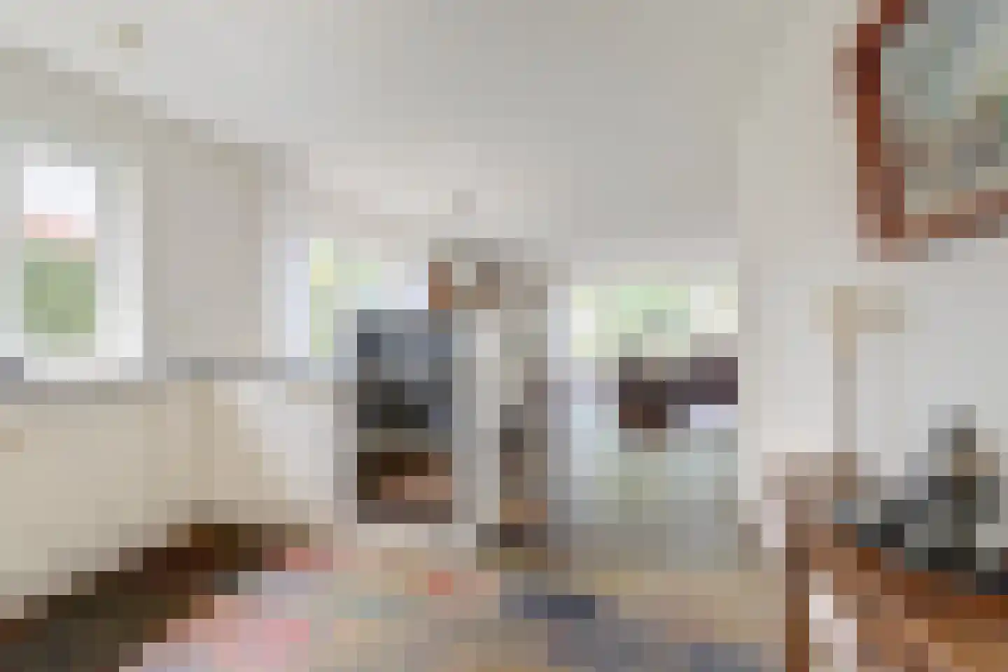 Bilzekruid 11 Veenendaal thumbnail 11