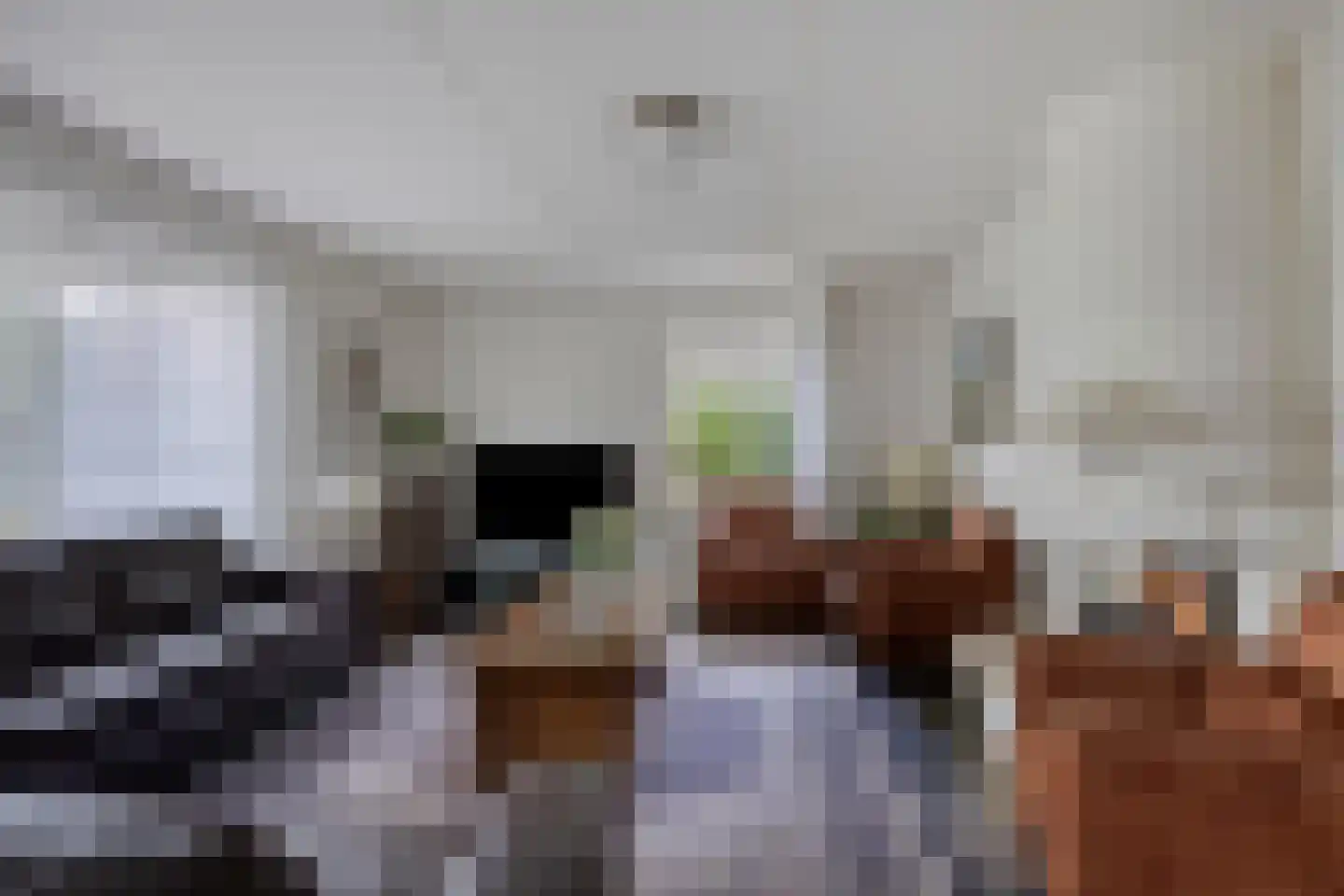 Bilzekruid 11 Veenendaal thumbnail 12