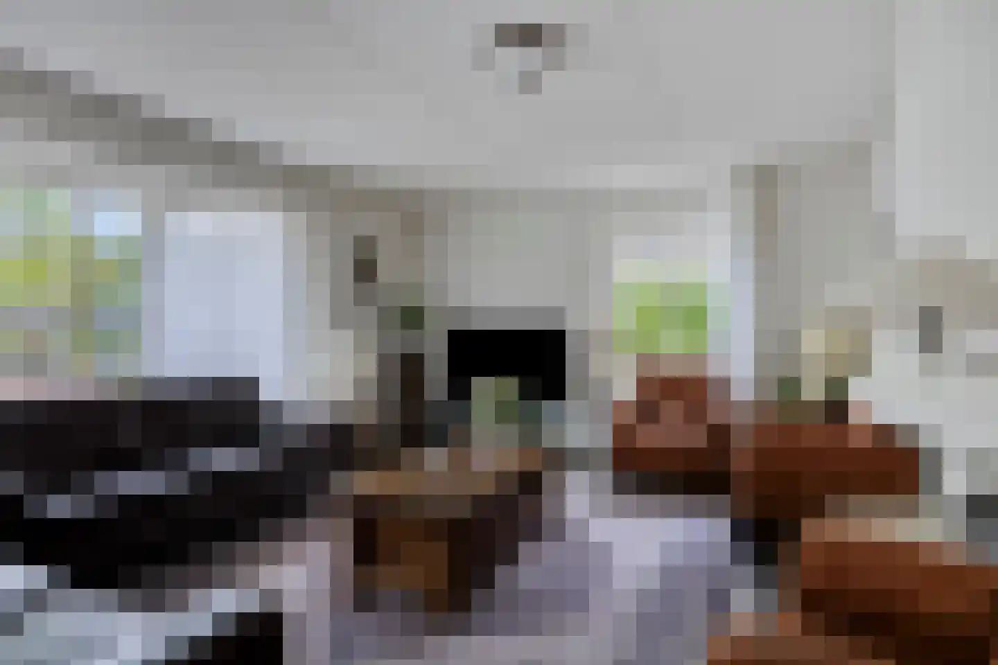 Bilzekruid 11 Veenendaal thumbnail 15