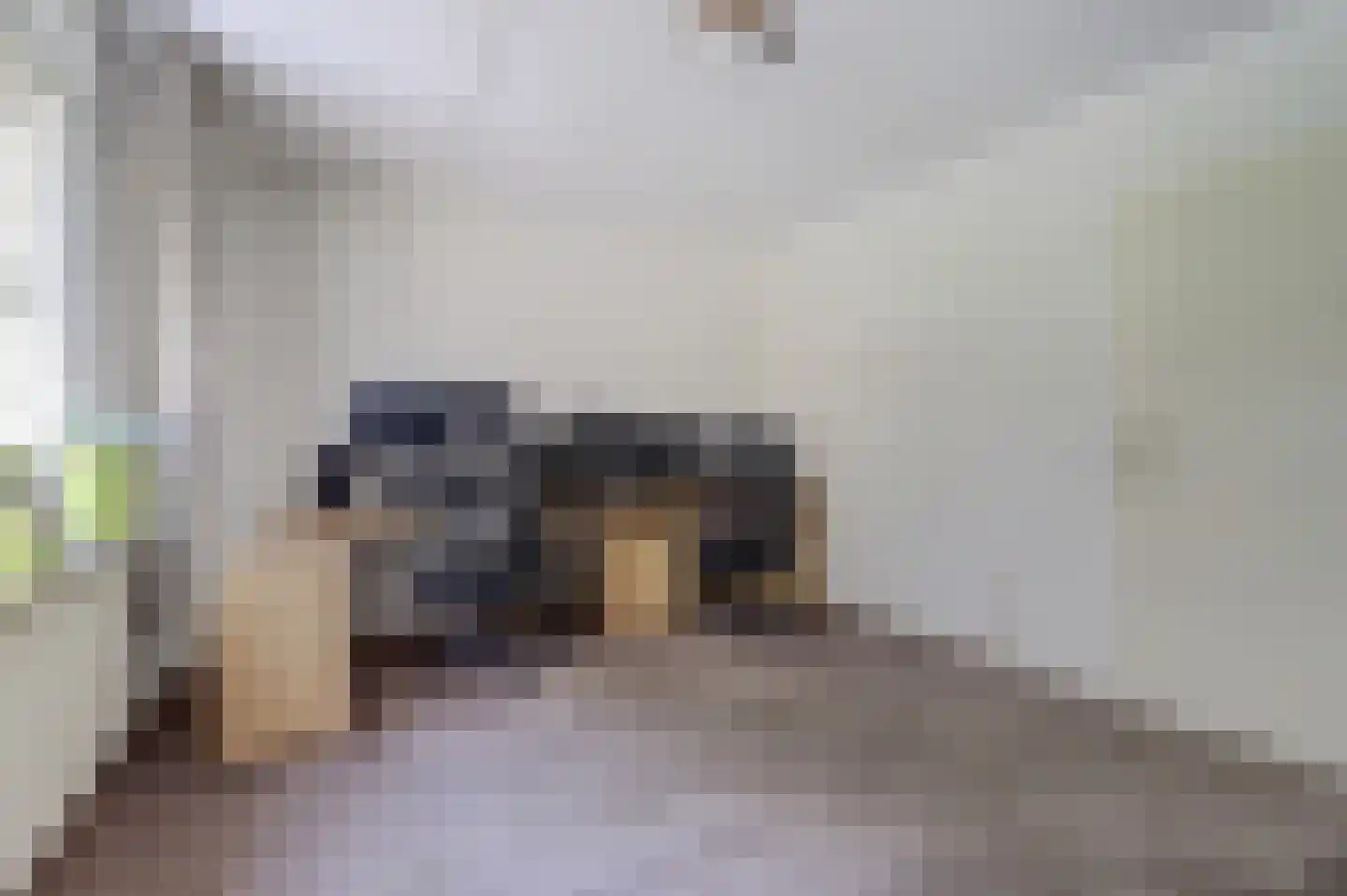 Bilzekruid 11 Veenendaal thumbnail 15