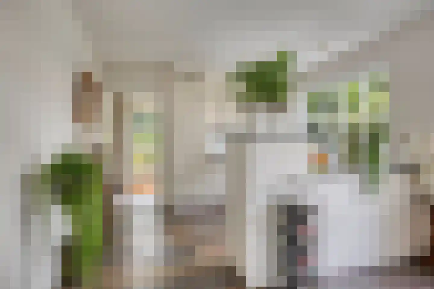 Bilzekruid 11 Veenendaal thumbnail 21