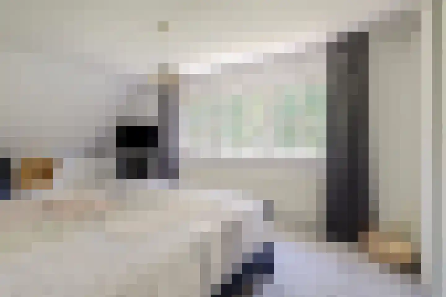 Bilzekruid 11 Veenendaal thumbnail 27