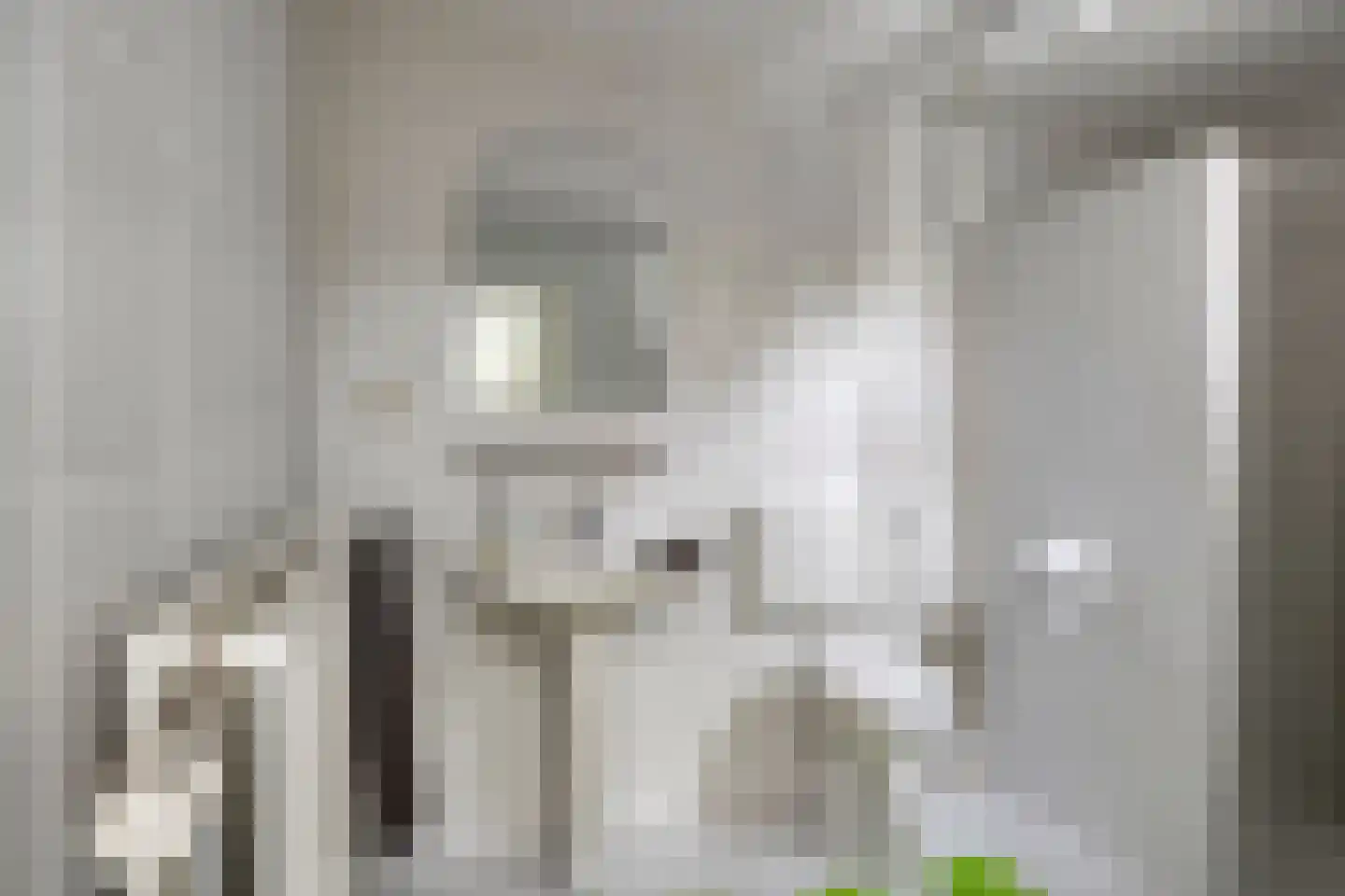 Bilzekruid 11 Veenendaal thumbnail 27