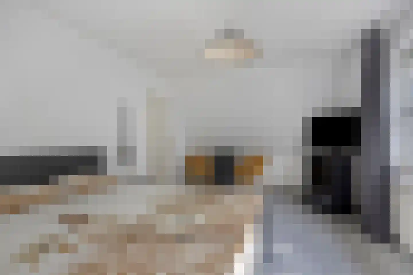 Bilzekruid 11 Veenendaal thumbnail 34
