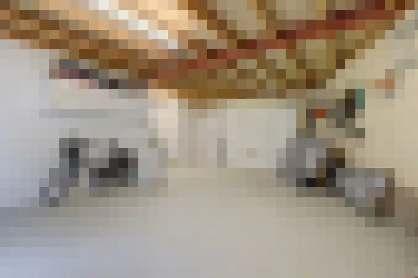 Bilzekruid 11 Veenendaal thumbnail 37