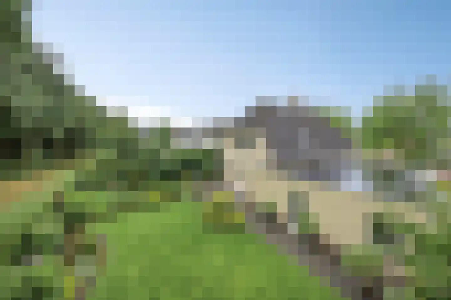 Bilzekruid 11 Veenendaal thumbnail 4