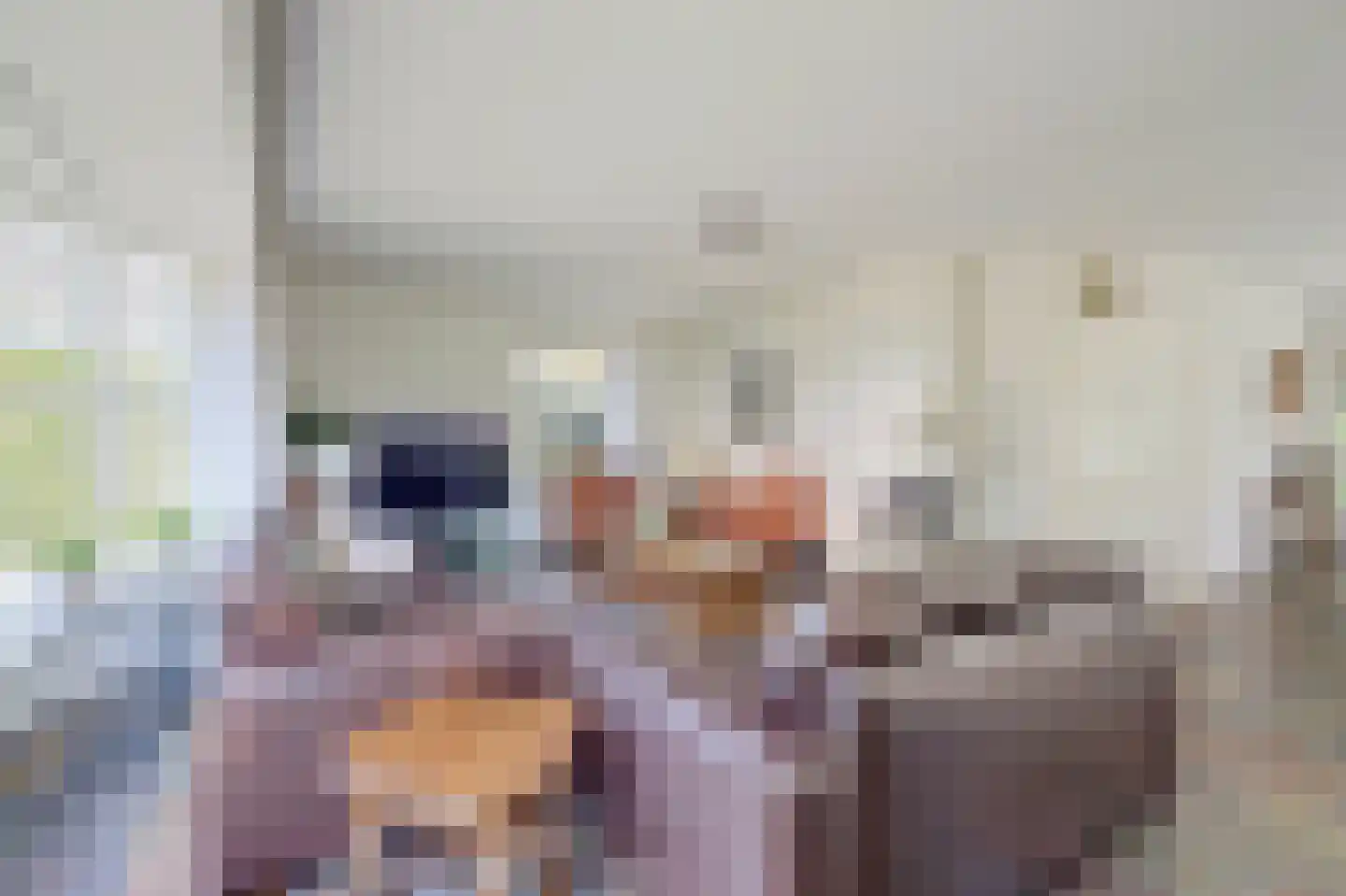 Bilzekruid 11 Veenendaal thumbnail 4