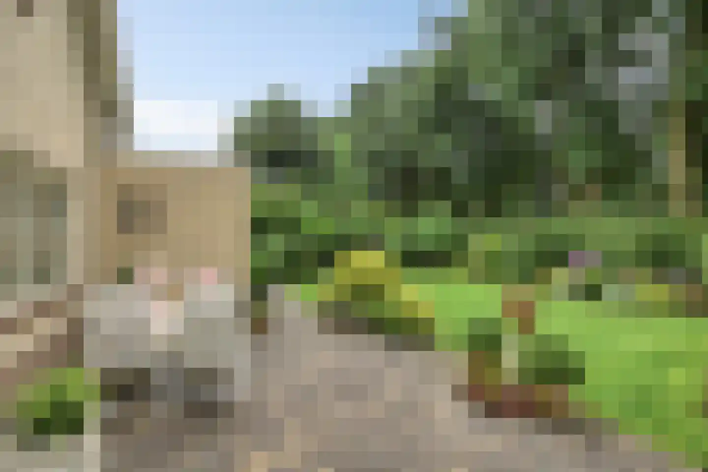 Bilzekruid 11 Veenendaal thumbnail 40