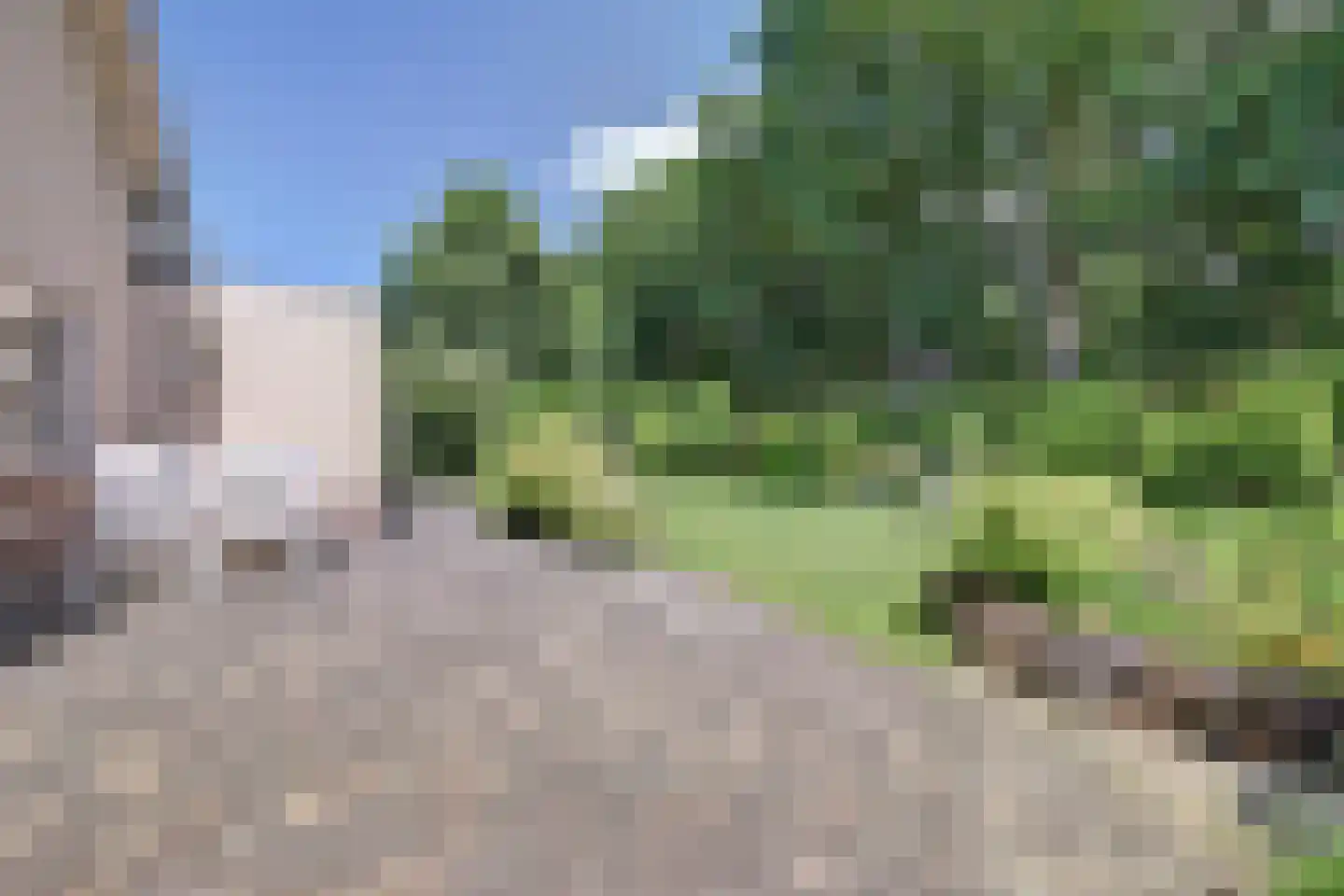 Bilzekruid 11 Veenendaal thumbnail 42