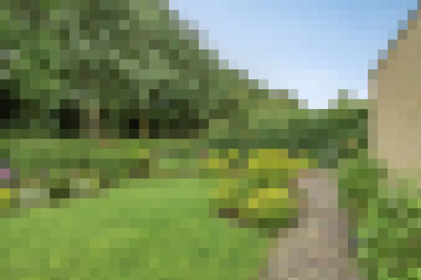 Bilzekruid 11 Veenendaal thumbnail 42