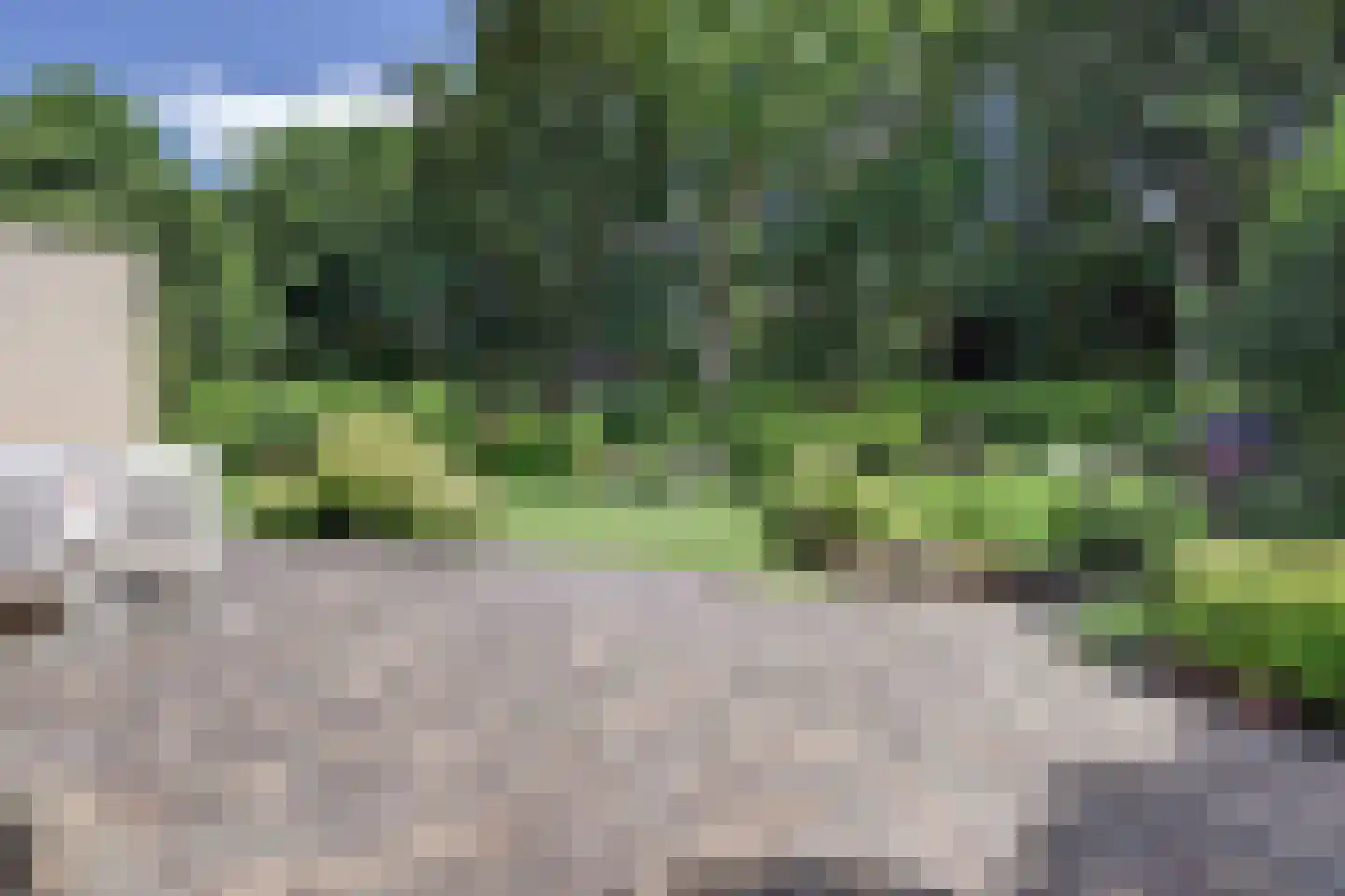 Bilzekruid 11 Veenendaal thumbnail 43