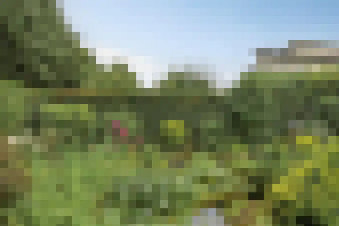 Bilzekruid 11 Veenendaal thumbnail 43