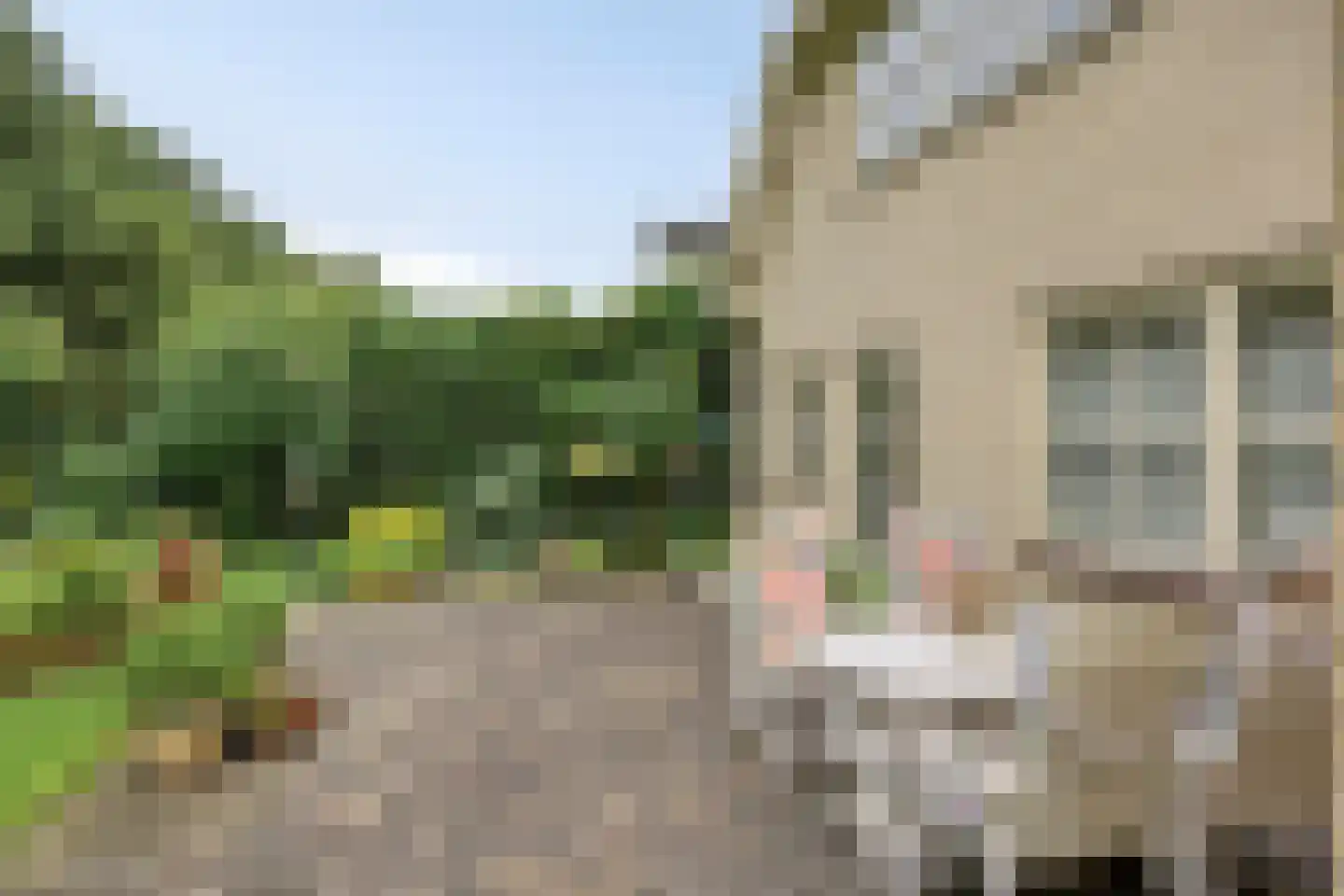 Bilzekruid 11 Veenendaal thumbnail 44