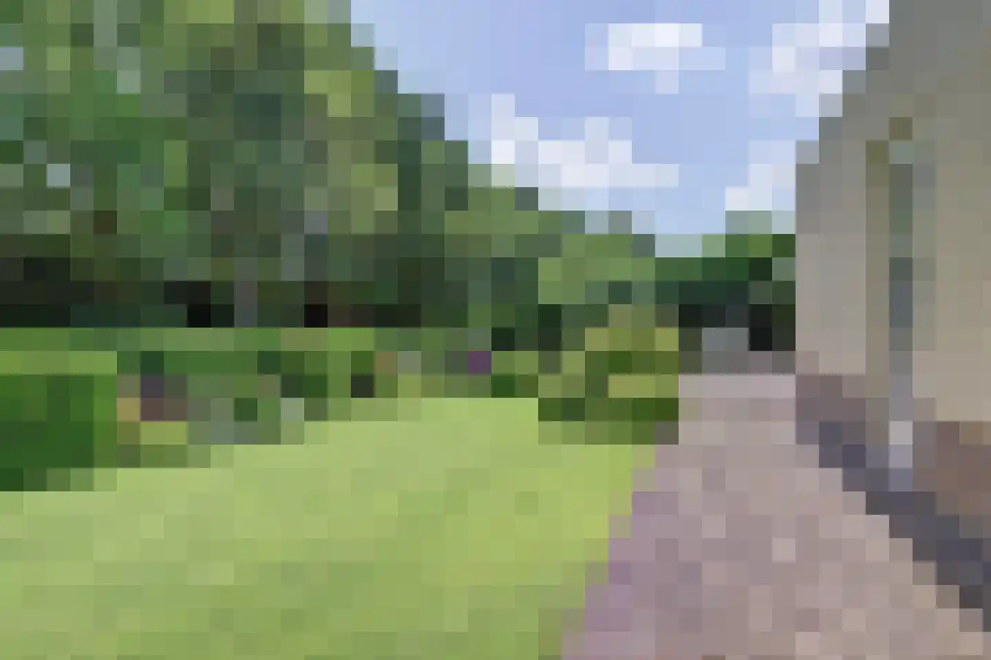 Bilzekruid 11 Veenendaal thumbnail 45