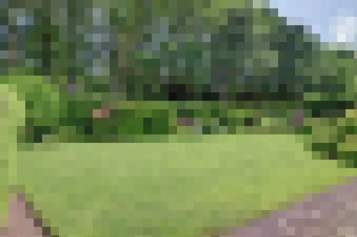 Bilzekruid 11 Veenendaal thumbnail 46