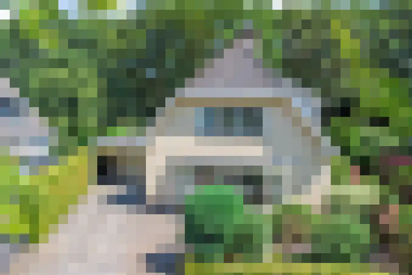 Bilzekruid 11 Veenendaal thumbnail 48
