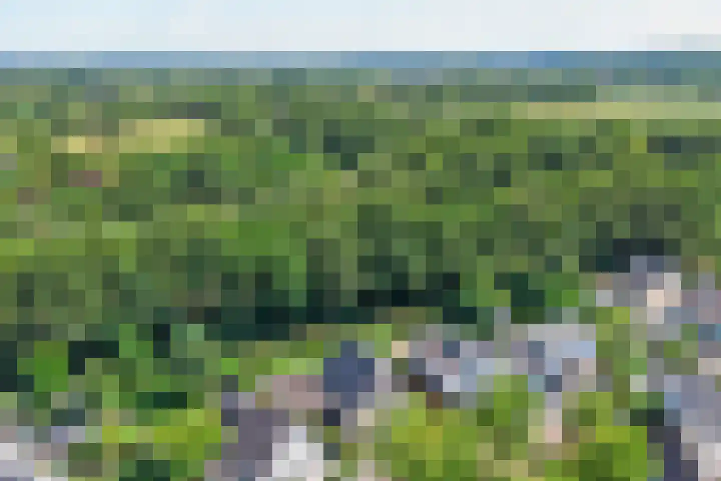 Bilzekruid 11 Veenendaal thumbnail 49