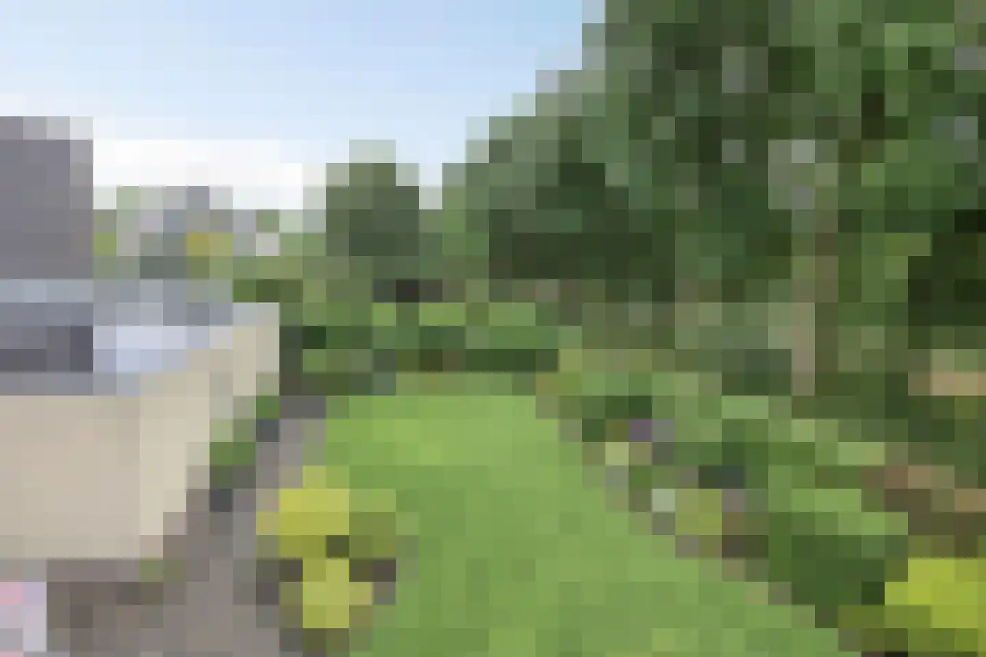 Bilzekruid 11 Veenendaal thumbnail 52