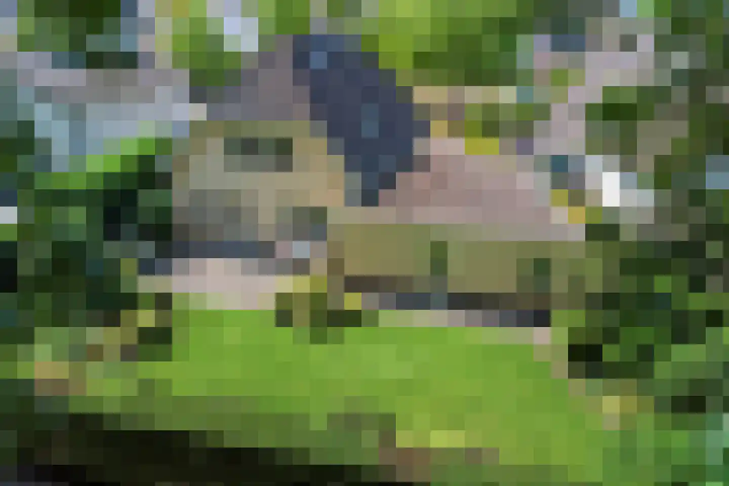 Bilzekruid 11 Veenendaal thumbnail 53