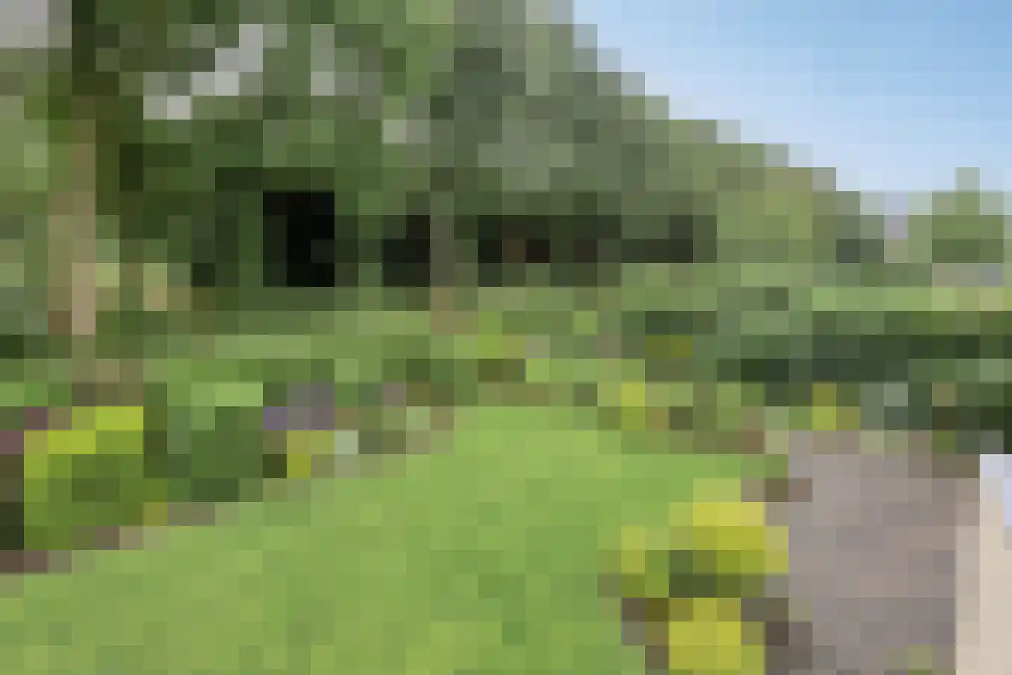 Bilzekruid 11 Veenendaal thumbnail 53