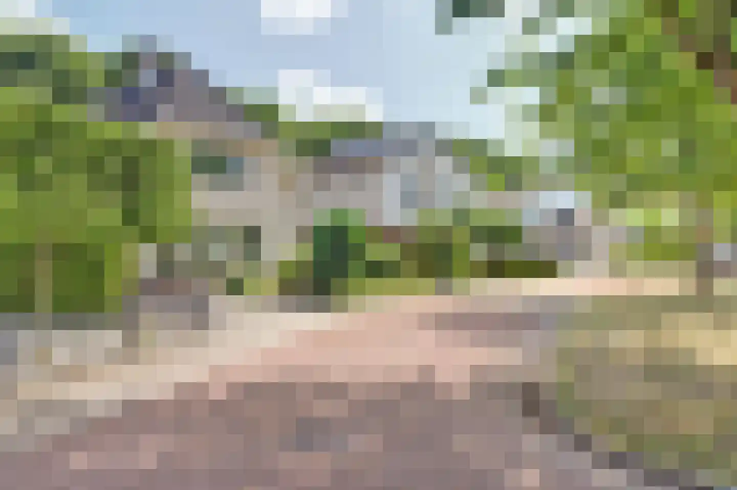 Bilzekruid 11 Veenendaal thumbnail 56