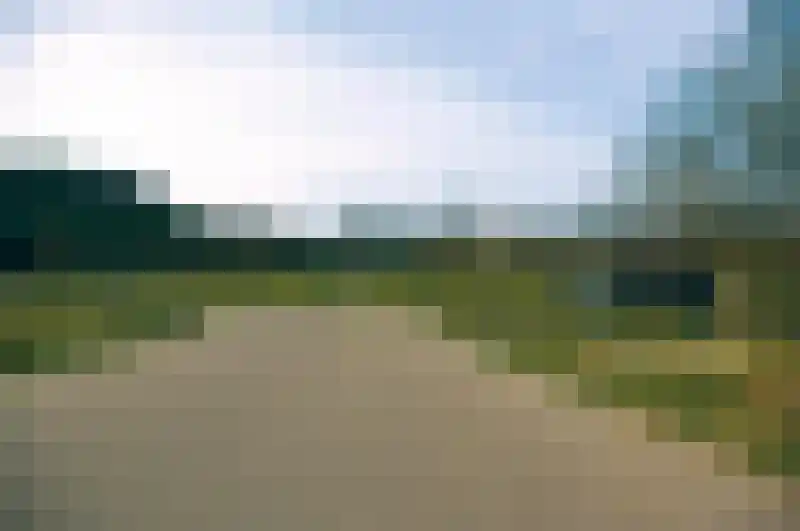 Bilzekruid 11 Veenendaal thumbnail 57