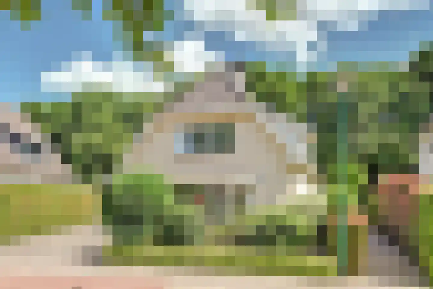 Bilzekruid 11 Veenendaal thumbnail 59