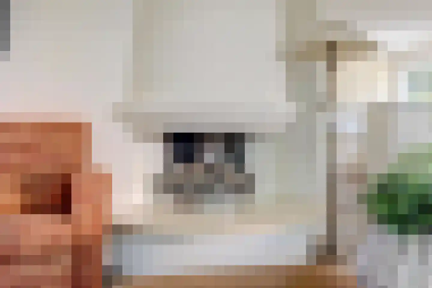 Bilzekruid 11 Veenendaal thumbnail 6