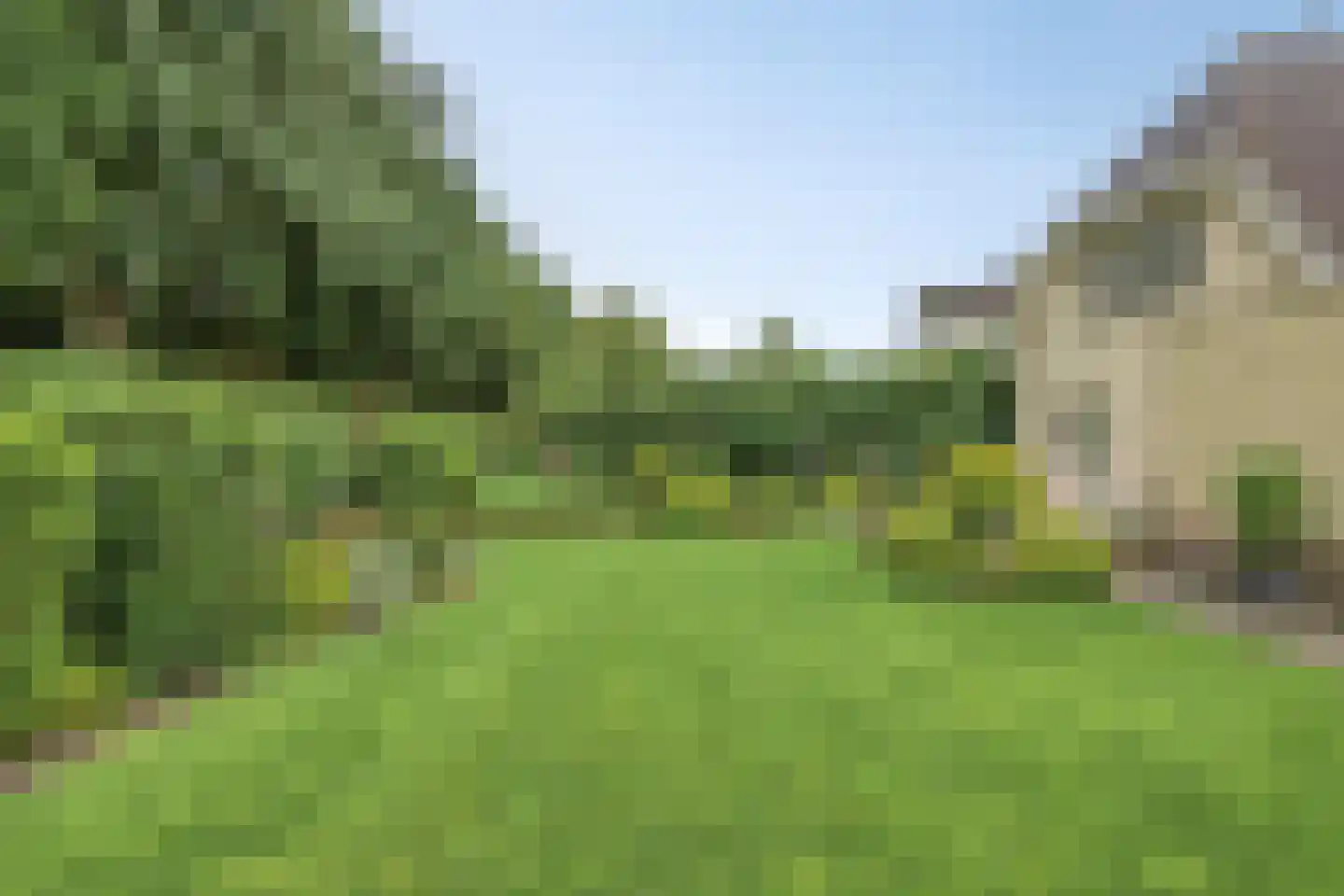 Bilzekruid 11 Veenendaal thumbnail 6