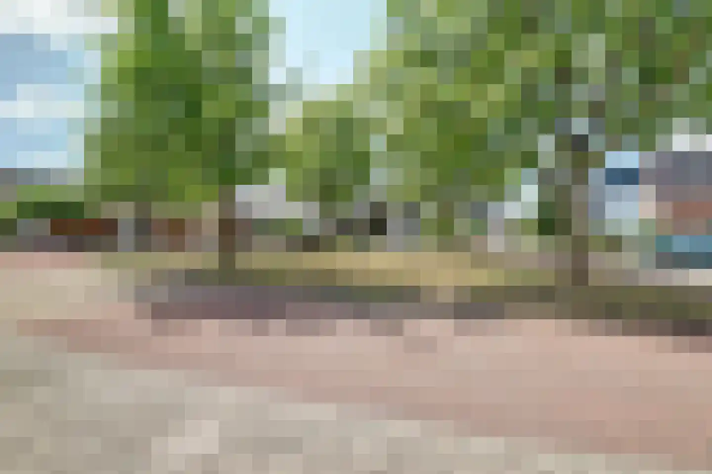 Bilzekruid 11 Veenendaal thumbnail 60