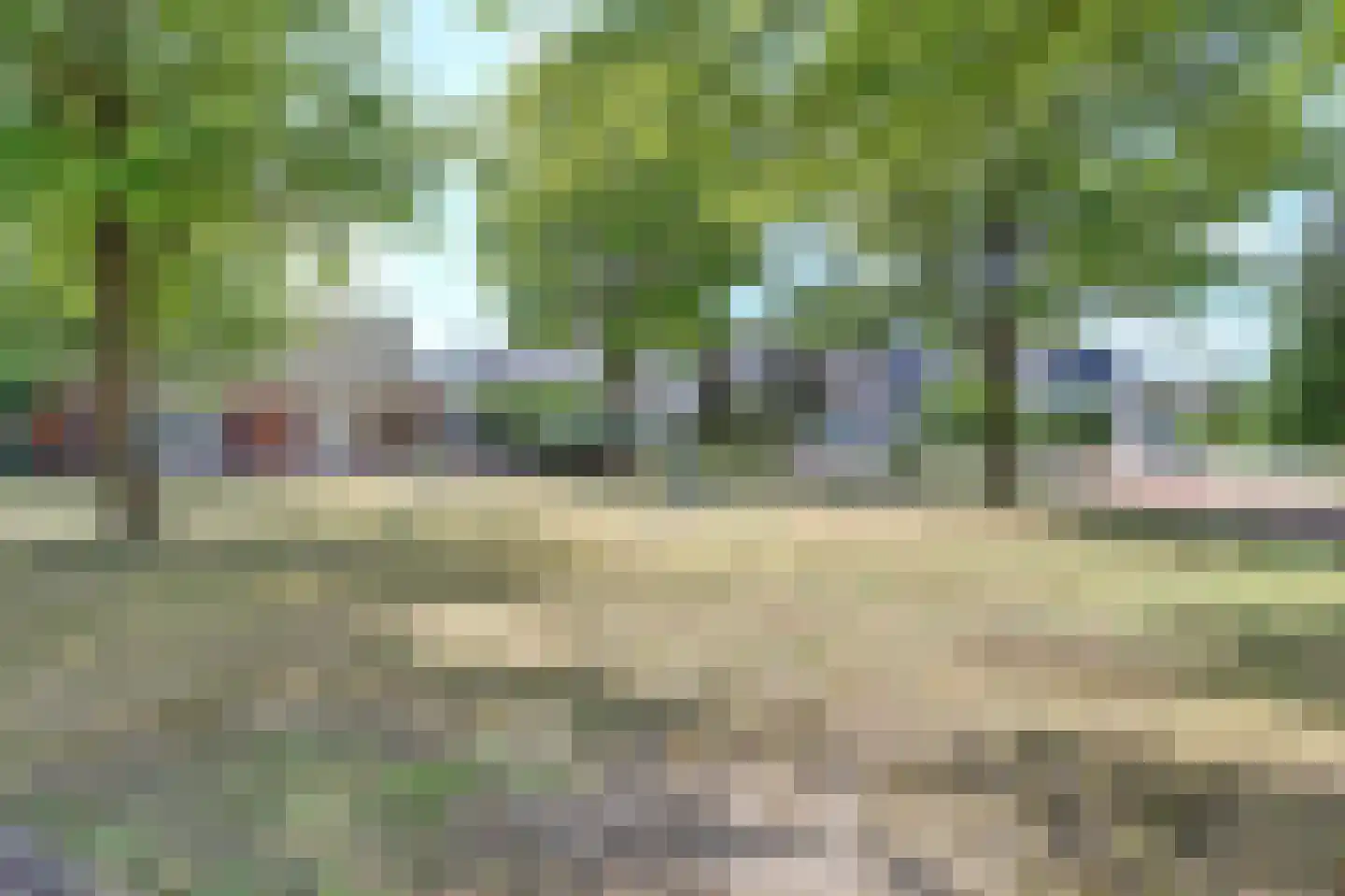 Bilzekruid 11 Veenendaal thumbnail 61
